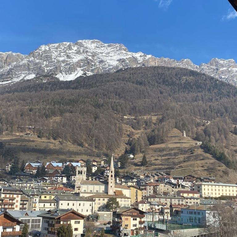 BAITA RAINOLTER Mansarda con vista panoramica su pista Stelvio a Bormio - Appartamento Standard con 2 Camere da Letto - 38