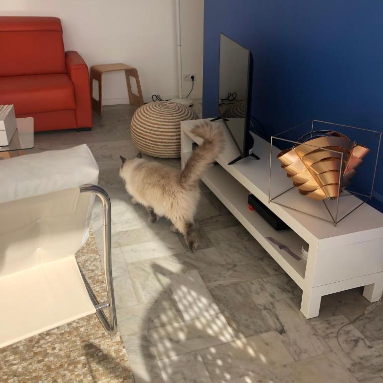 La plage d'Ugo - Appartement 2 Chambres - 2