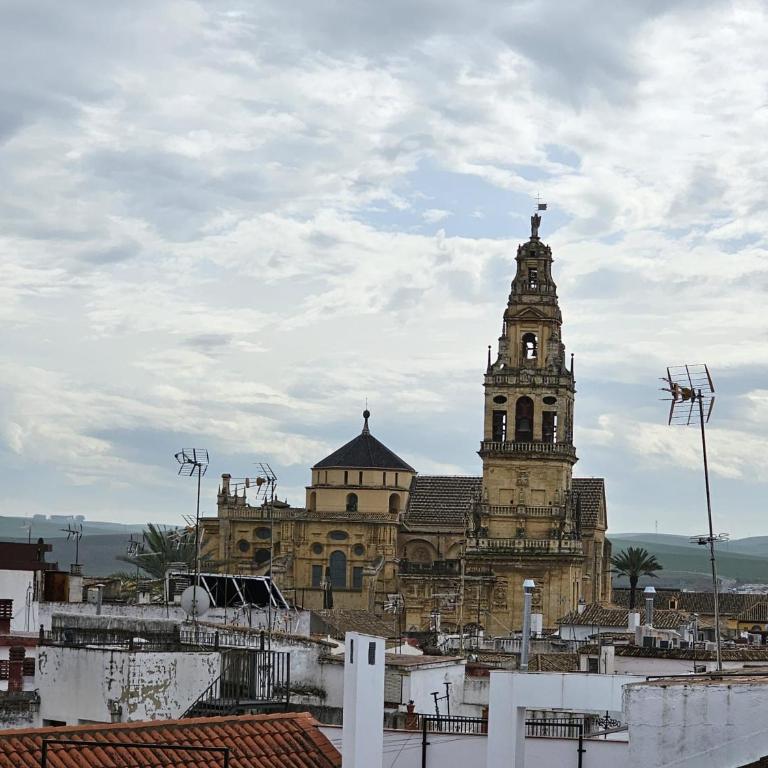 Apartamento Jaire - Apartamento de 3 dormitorios - 15