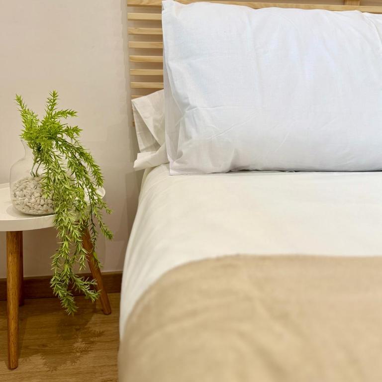 Oasis De Confort Urbano Vigo - Apartamento de 3 dormitorios - 76