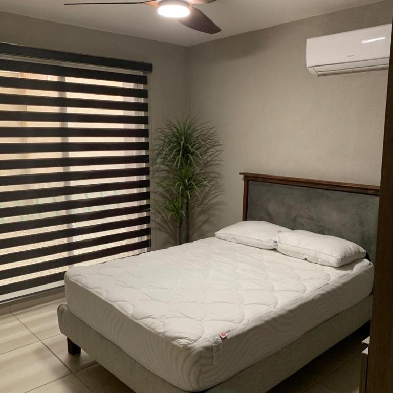 Departamento dream diamante - Apartamento - 3