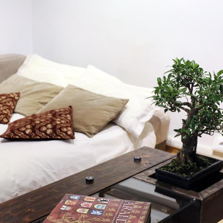 Home Domus Borgo Pio - San Pietro - Appartement 2 Chambres - 11