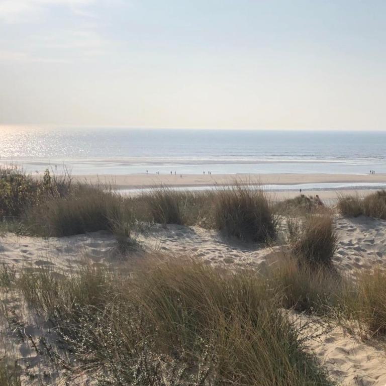 Ma petite maison d hotes - Dunes Cottages - Le Touquet - Maison 2 Chambres - 2