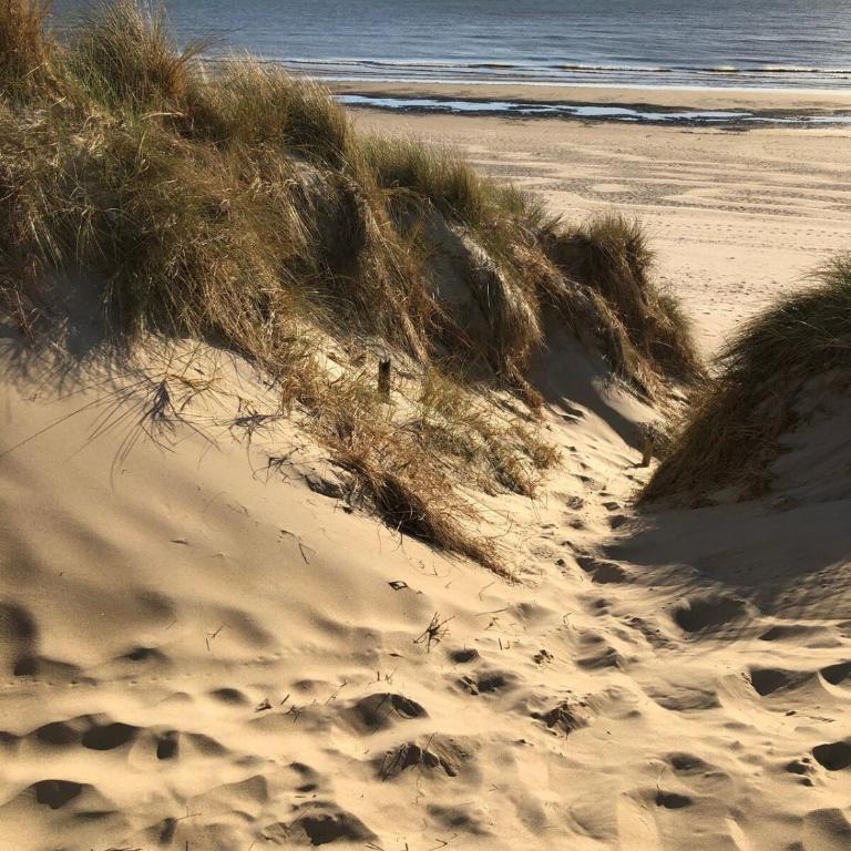 Ma petite maison d hotes - Dunes Cottages - Le Touquet - Maison 2 Chambres - 19