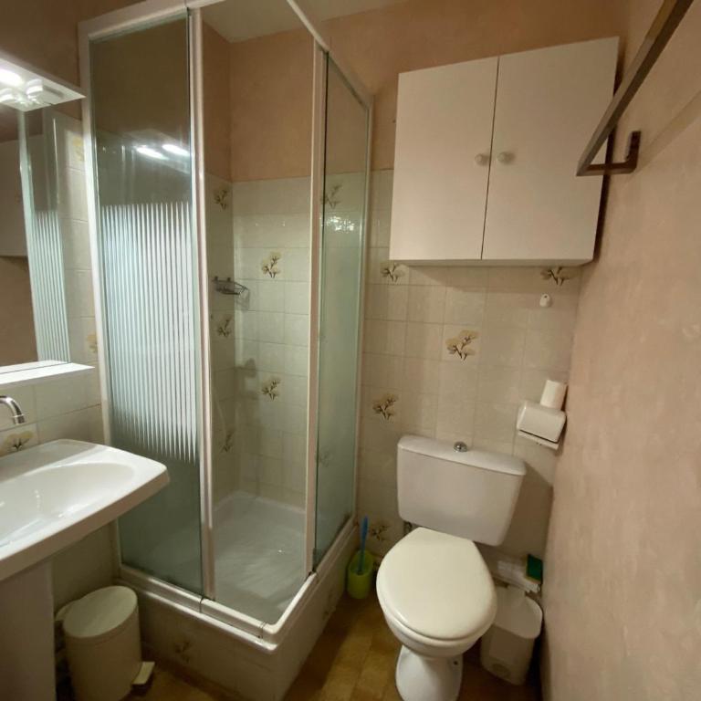 Appartement calme proches des thermes avec animaux admis - FR-1-503-183 - Appartement - 3