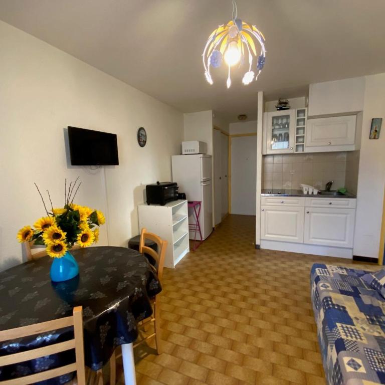 Appartement calme proches des thermes avec animaux admis - FR-1-503-183 - Appartement - 8