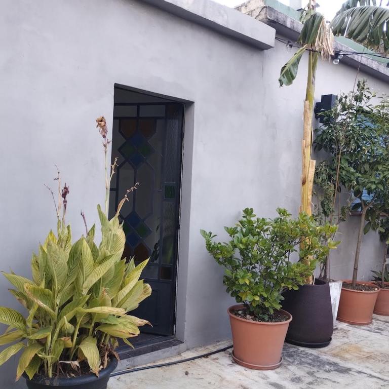 Casa amplia y luminosa con gran terraza y parrilla - Apartamento de 2 dormitorios - 7