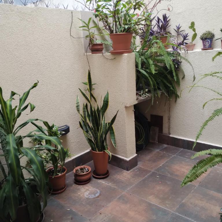 Casa amplia y luminosa con gran terraza y parrilla - Apartamento de 2 dormitorios - 21