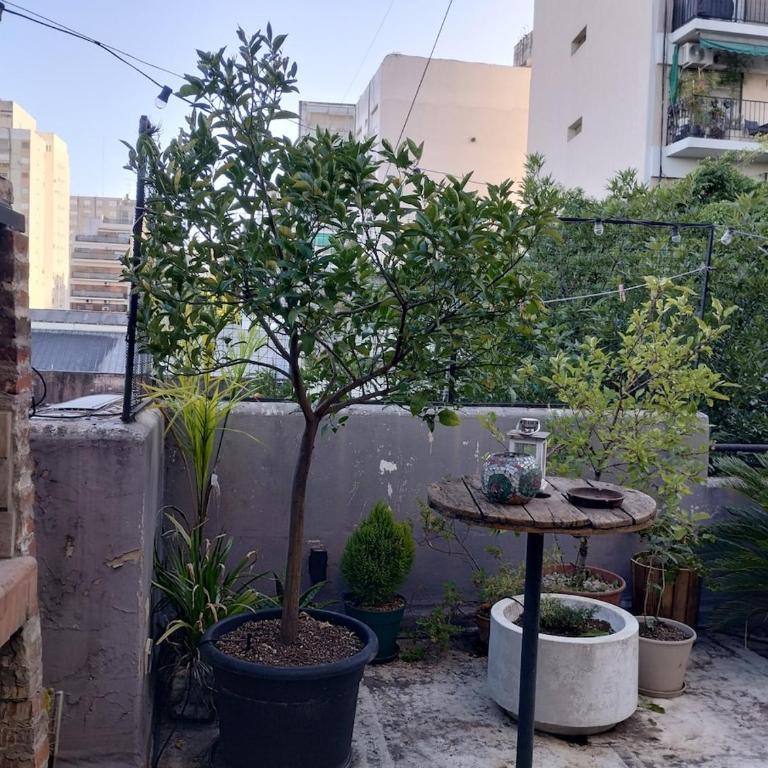 Casa amplia y luminosa con gran terraza y parrilla - Apartamento de 2 dormitorios - 37