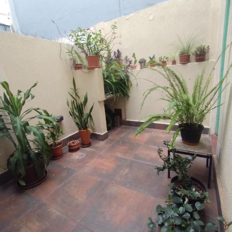 Casa amplia y luminosa con gran terraza y parrilla - Apartamento de 2 dormitorios - 42