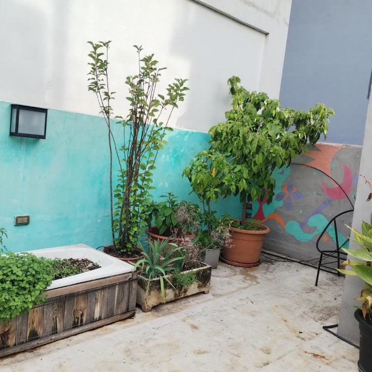 Casa amplia y luminosa con gran terraza y parrilla - Apartamento de 2 dormitorios - 52