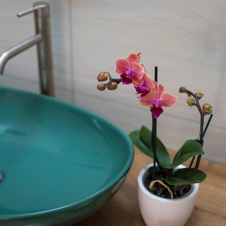 Casa Dafne Sorrento historical center wonderful rooftop - Two-Bedroom House - 6