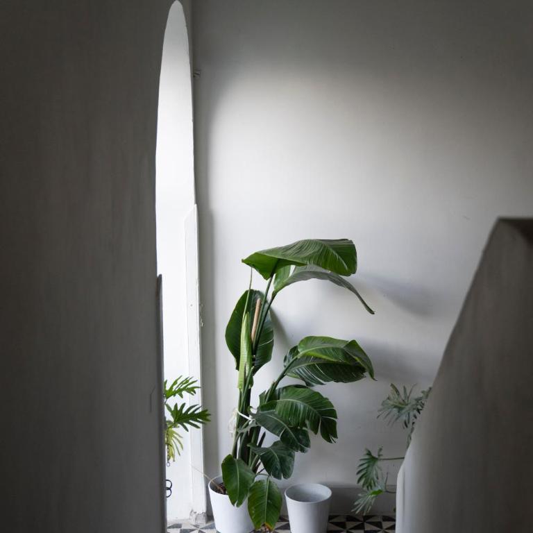 Casa Dafne Sorrento historical center wonderful rooftop - Two-Bedroom House - 57
