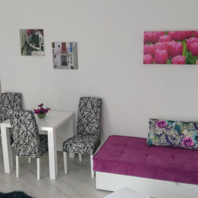 Apartments Jadran - Studio s Terasom i Pogledom na More - 3