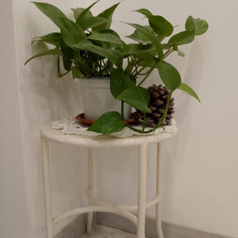 Le Casette di Nonna Rosa in Fontanarossa Catania Airport - One-Bedroom House - 42