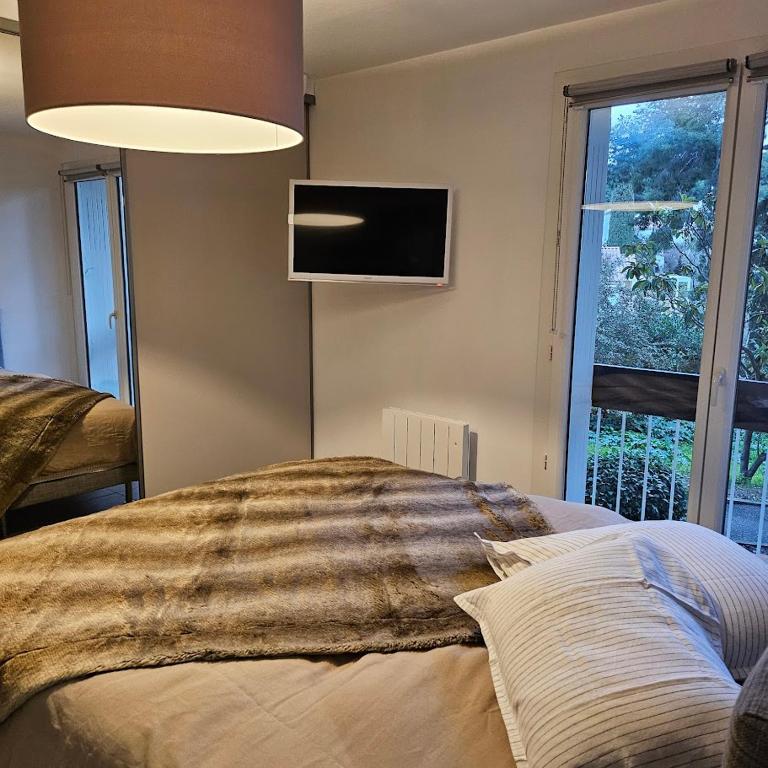 Appartement les pieds dans l'eau avec terrasse et jardin - Apartamento de 1 dormitorio - 10