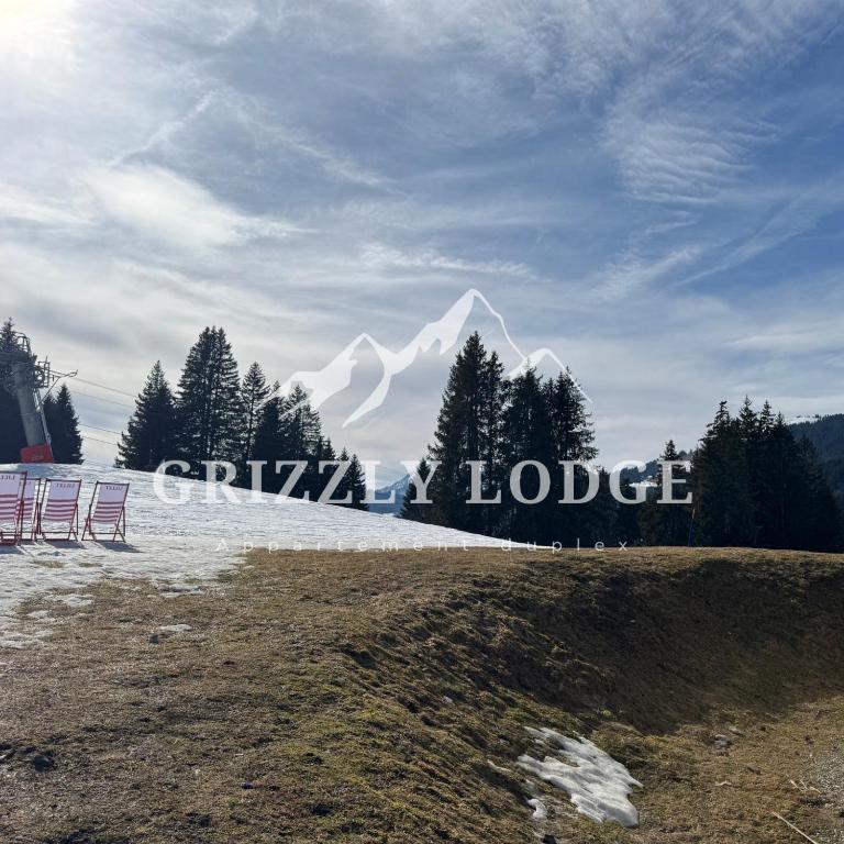 Grizzly Lodge - appartement duplex sur les pistes - One-Bedroom Apartment - 22