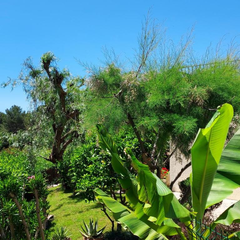 Jolie maison hauteur d'Antibes - Two-Bedroom House - 5