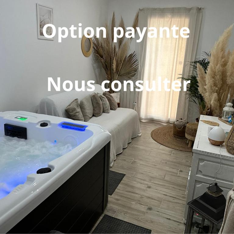 Cocon Classé 3 Etoiles - Love et Détente - SPA - Villa 1 Chambre - 57