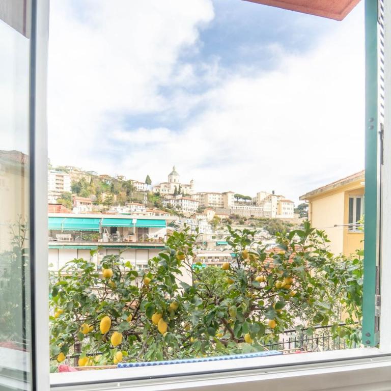 The Citrus House - Appartement 2 Chambres - 13