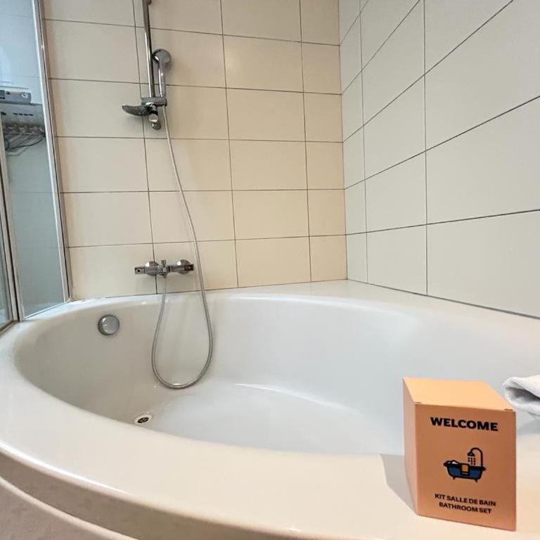 Vesle magnifique T4 hyper centre 6 personnes - Appartement 3 Chambres - 22