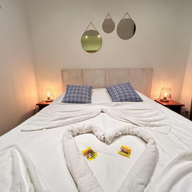 Vesle magnifique T4 hyper centre 6 personnes - Appartement 3 Chambres - 27