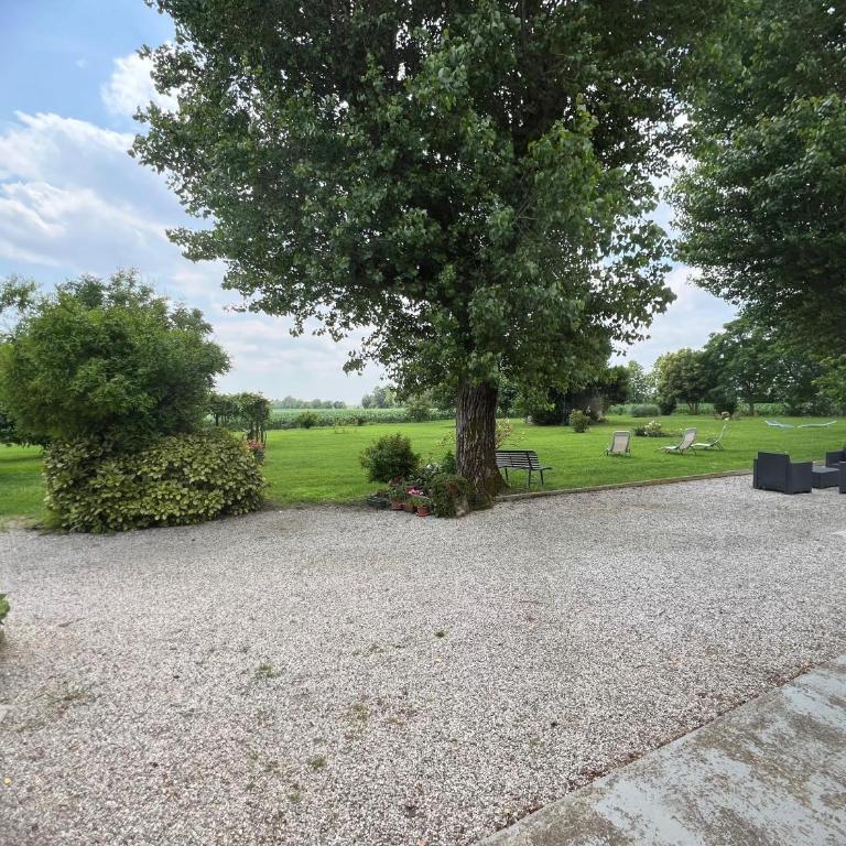 Antica Vigna - Appartamento Deluxe con 1 Camera da Letto e Vista Giardino - 19