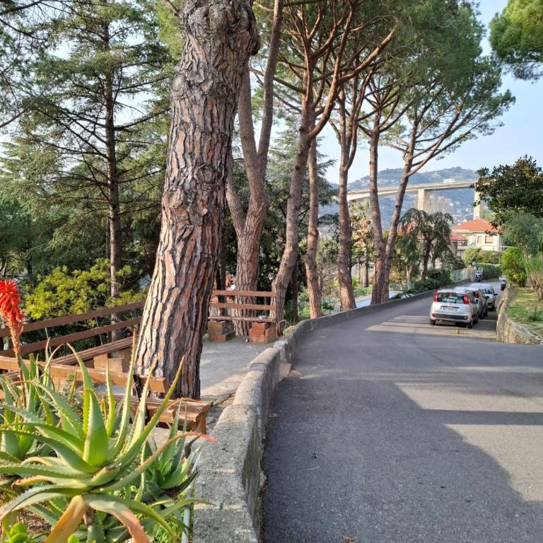 Le Mimose Garden - Appartement 1 Chambre - 31