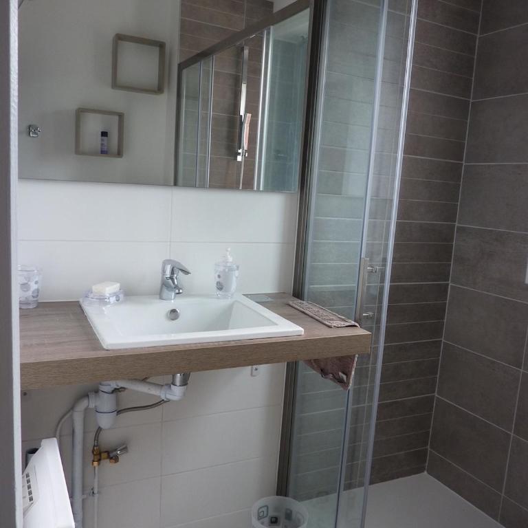 Appartement Centre Ville Vue Lac - Apartment mit 1 Schlafzimmer - 4