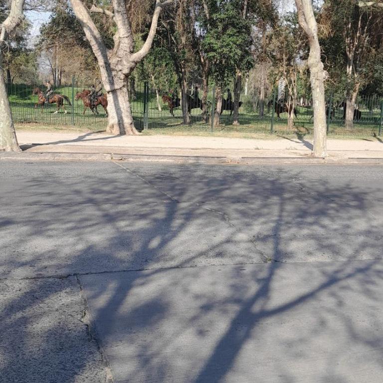 Small apartment with parking - Apartamento de 1 dormitorio - 14