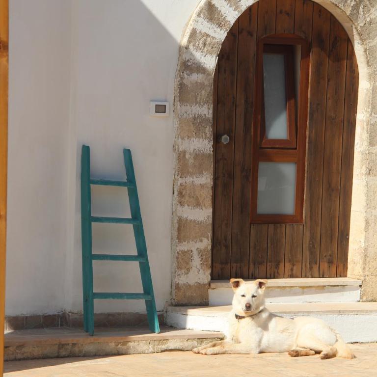 Il Pangolo Villa con trullo vicino al mare - Three-Bedroom Vacation Home - 39