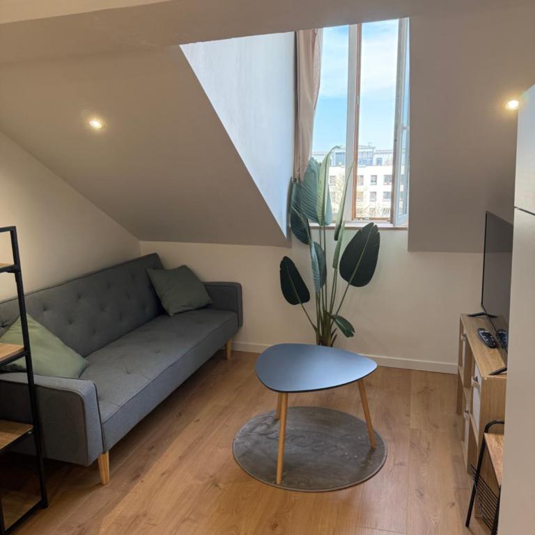 Studio secteur rives de meurthe - Appartement 1 Chambre - 1