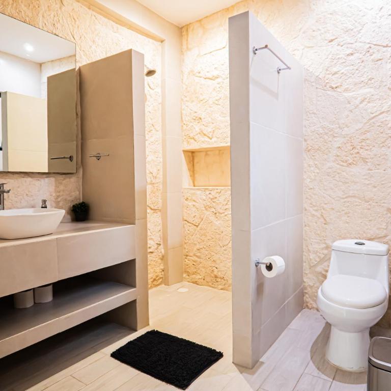 Two-Condos House in Great location with Rooftop and Pool and BBQ - Casa de 4 dormitorios - 52