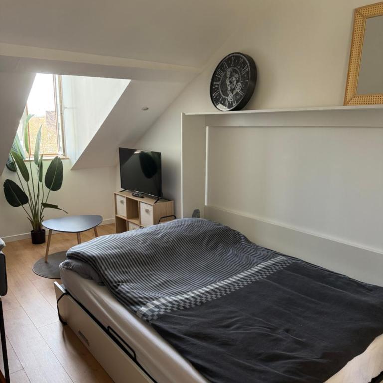 Studio secteur rives de meurthe - Appartement 1 Chambre - 2