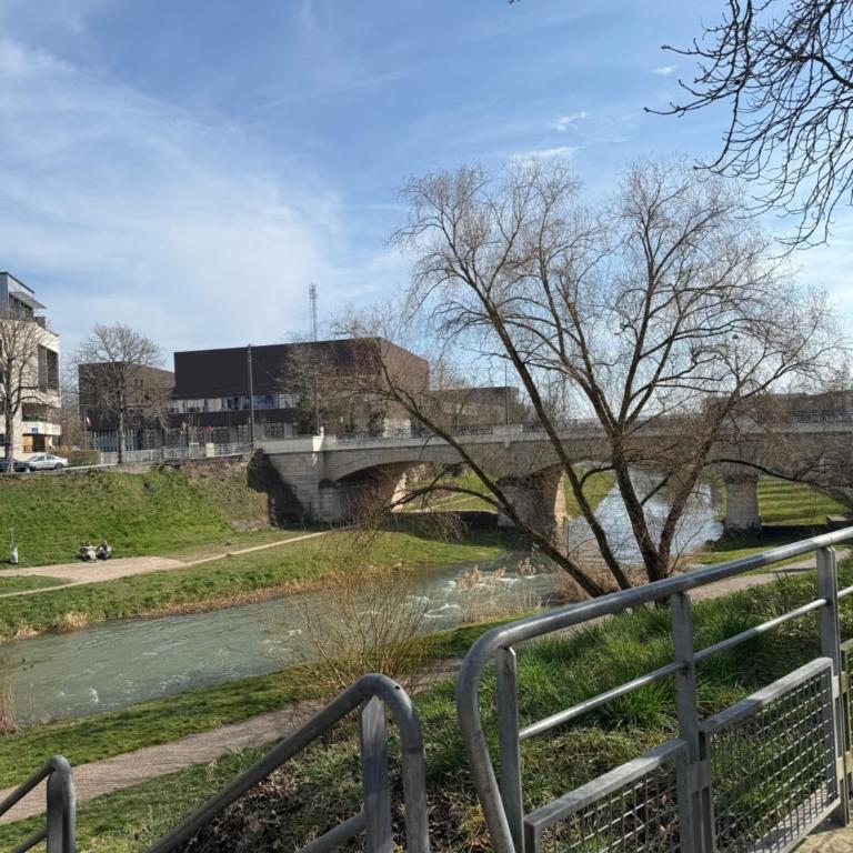 Studio secteur rives de meurthe - Appartement 1 Chambre - 6