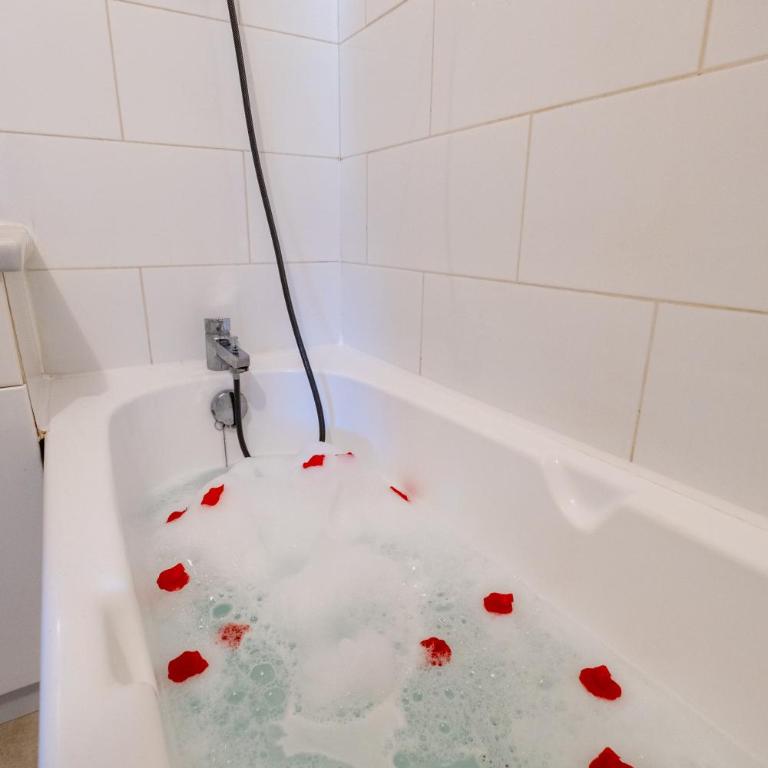 Appartement climatisé avec la terrasse, deux pas du métro, Stadium, Toulouse - Apartment mit 1 Schlafzimmer - 6