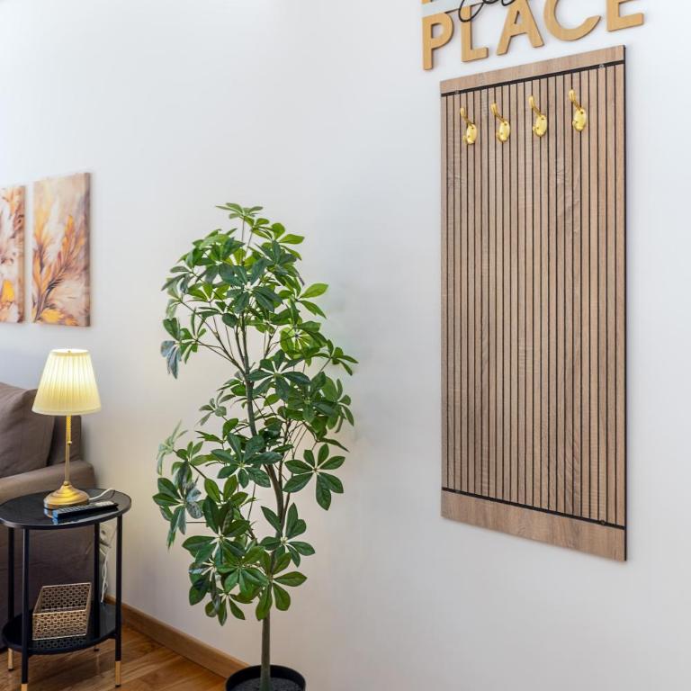 Your Place in Rome Apartments - One-Bedroom Apartment - 7