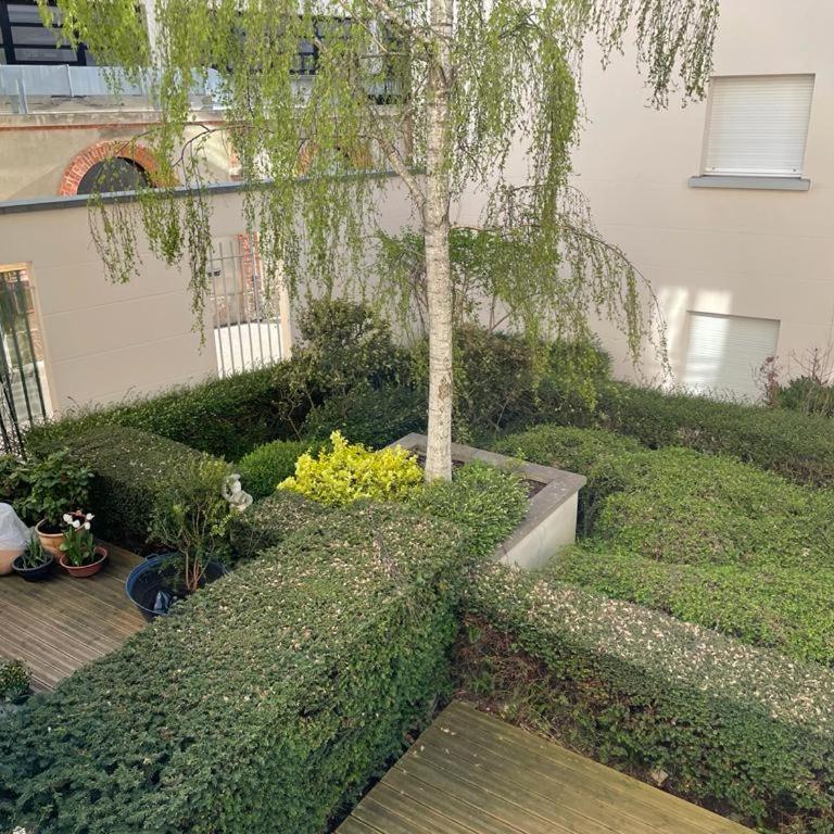 Grenier a sel hyper centre magnifique studio - Apartment - 8