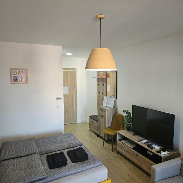 Apartman NATALIJA - Apartman sa Balkonom - 9