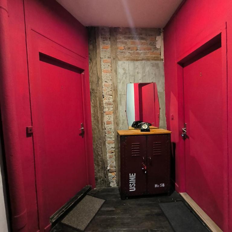 Appartement Vintage spacieux centre ville - Appartement 1 Chambre - 20