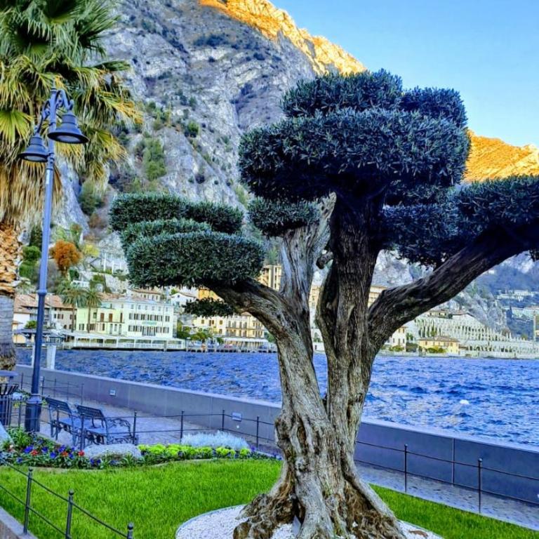 CASA MARIA lafinestrasulgarda - Two-Bedroom Apartment - 22