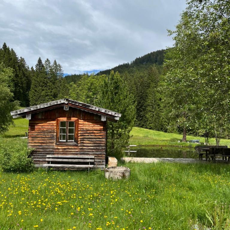Bauernhütte Niedermaisgut - Haus mit 4 Schlafzimmern - 31