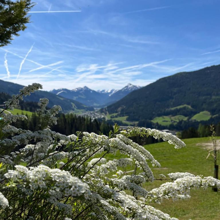 Bauernhütte Niedermaisgut - Haus mit 4 Schlafzimmern - 18