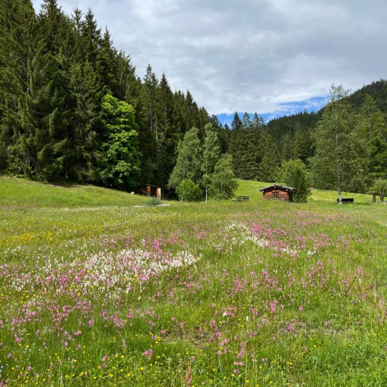 Bauernhütte Niedermaisgut - Haus mit 4 Schlafzimmern - 30