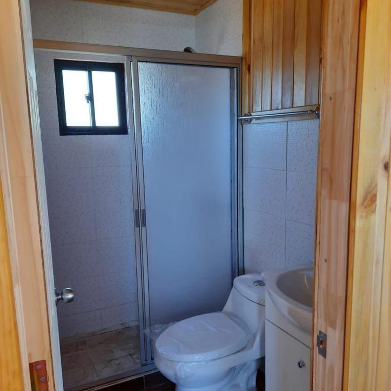 Cabañas en Purén Tranamán La Loma - Casa de 2 dormitorios - 3