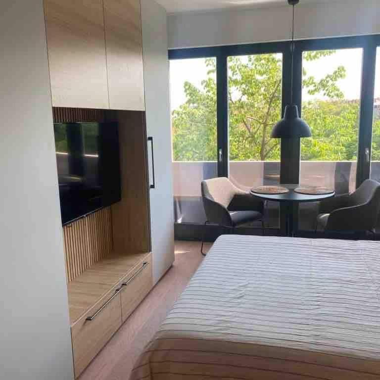 Apartment Cvijiceva - Park view - One-Bedroom Apartment - 3