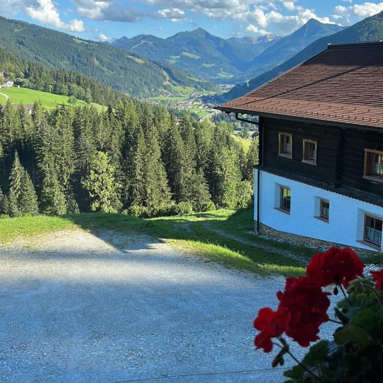 Bauernhütte Niedermaisgut - Haus mit 4 Schlafzimmern - 4
