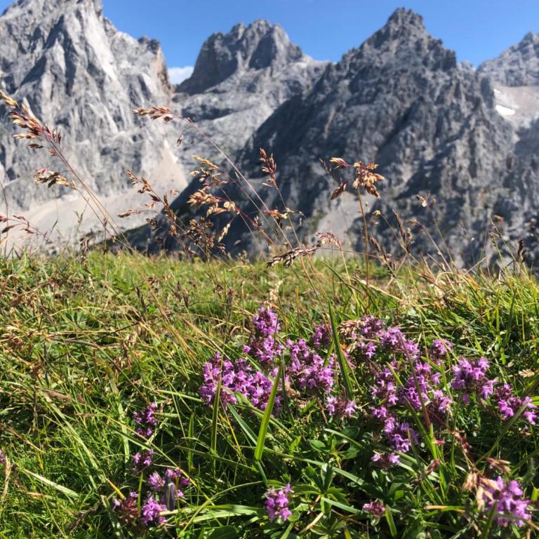 Bauernhütte Niedermaisgut - Haus mit 4 Schlafzimmern - 35