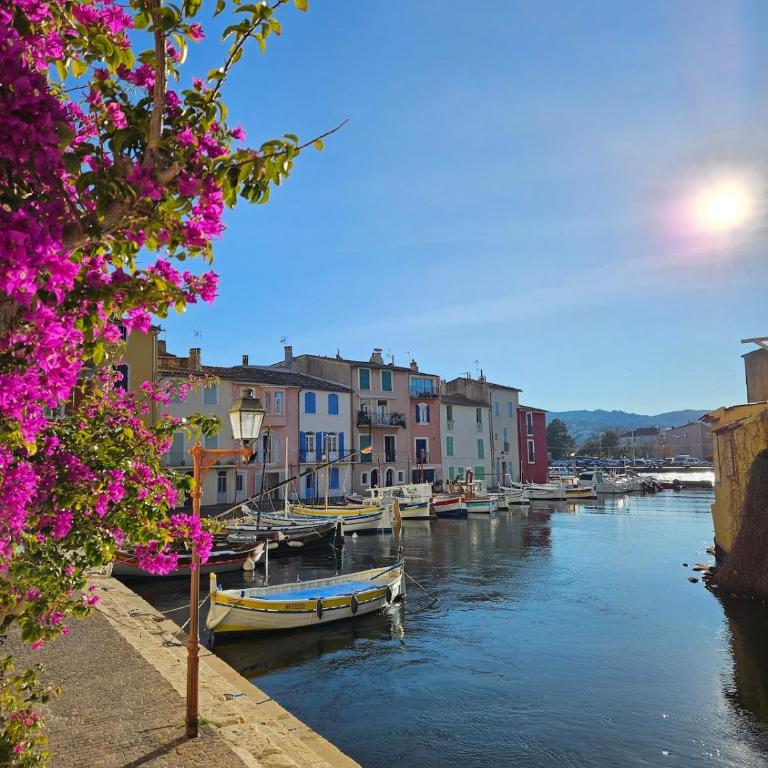 Studio cosy au cœur de l'île - One-Bedroom Apartment - 3