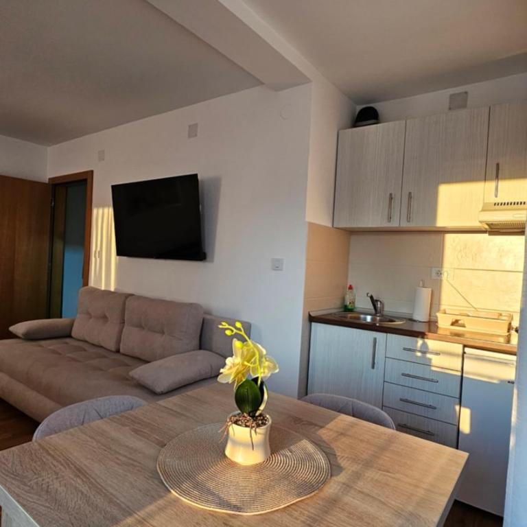 Soko City Center & Parking Free - Apartman - 5